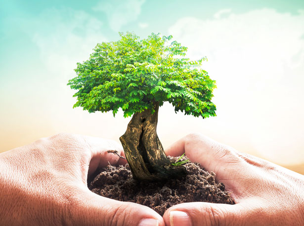 Life Insurance Contracts